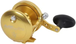 Avet JX 4.6 G2 1 Speed Reel - Gold (No Glide Plate) -Outlet Salt Lure Pro Store avet jx 4 6 g2 rh gd ngp reel 97058.1670273726