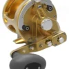 Avet JX G2 6/3 2-Speed Reel Gold