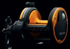 Daiwa Seagate Conventional Reels -Outlet Salt Lure Pro Store daiwa seagate conventional reels 35712.1650807987