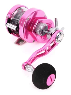 Maxel Hybrid Star Drag Reels -Outlet Salt Lure Pro Store maxel hybrid star drag reels 65695.1650827971