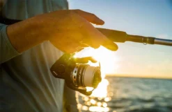 Penn Pursuit IV Spinning Reels -Outlet Salt Lure Pro Store penn pursuit iv spinning reels 56136.1656656295