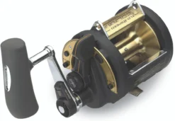 Shimano TLD-2 Speed A Lever Drag Reels -Outlet Salt Lure Pro Store shimano tld 2speed a reels 20310.1651006923