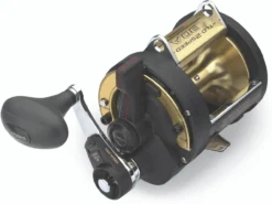 Shimano TLD-2 Speed A Lever Drag Reels -Outlet Salt Lure Pro Store shimano tld 2speed a reels 95059.1651006921