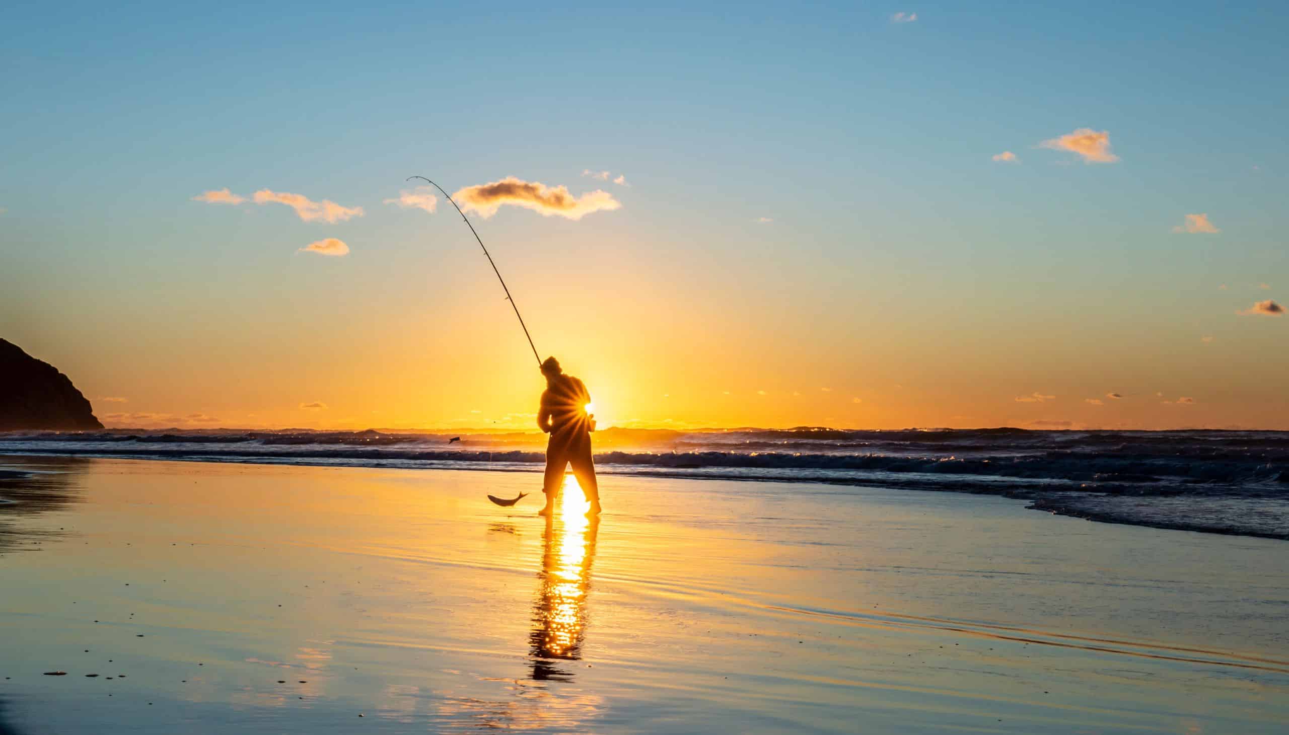 Outlet Salt Lure Pro Store -Outlet Salt Lure Pro Store Fishing Trips NSW South Coast image credit destination nsw